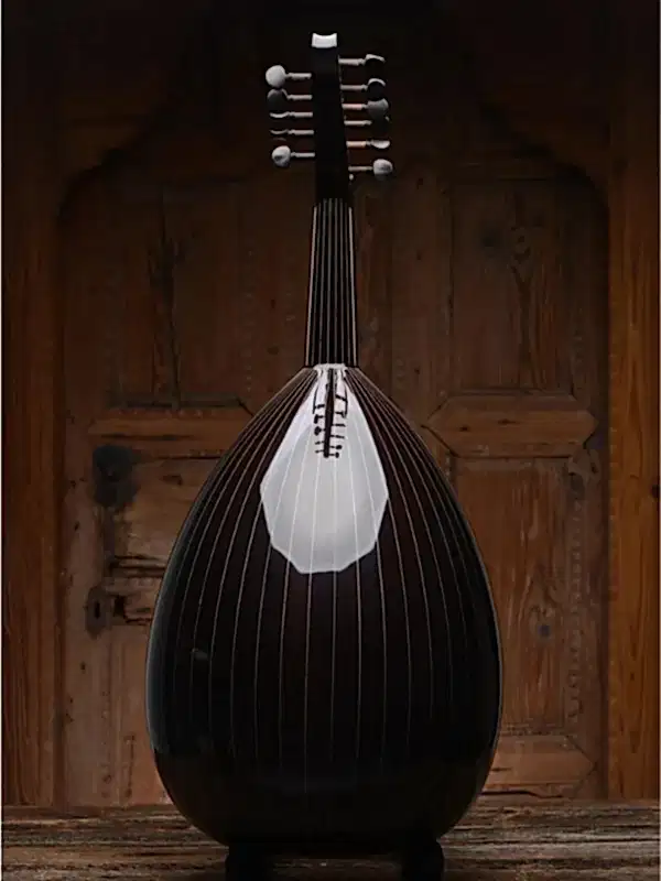 Yıldırım Palabıyık Ud 100 Model