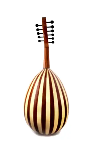 MST100 Maun/Akçaağaç Ud