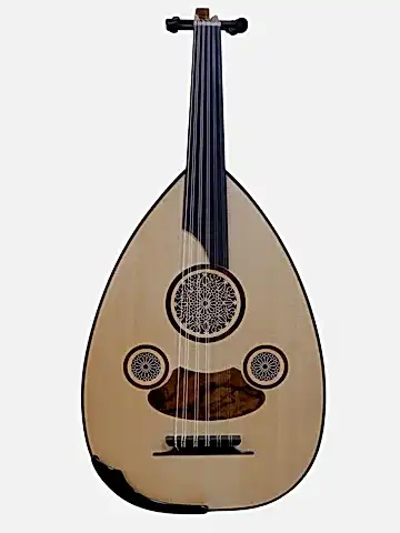 MS-14 Profesyonel Ud