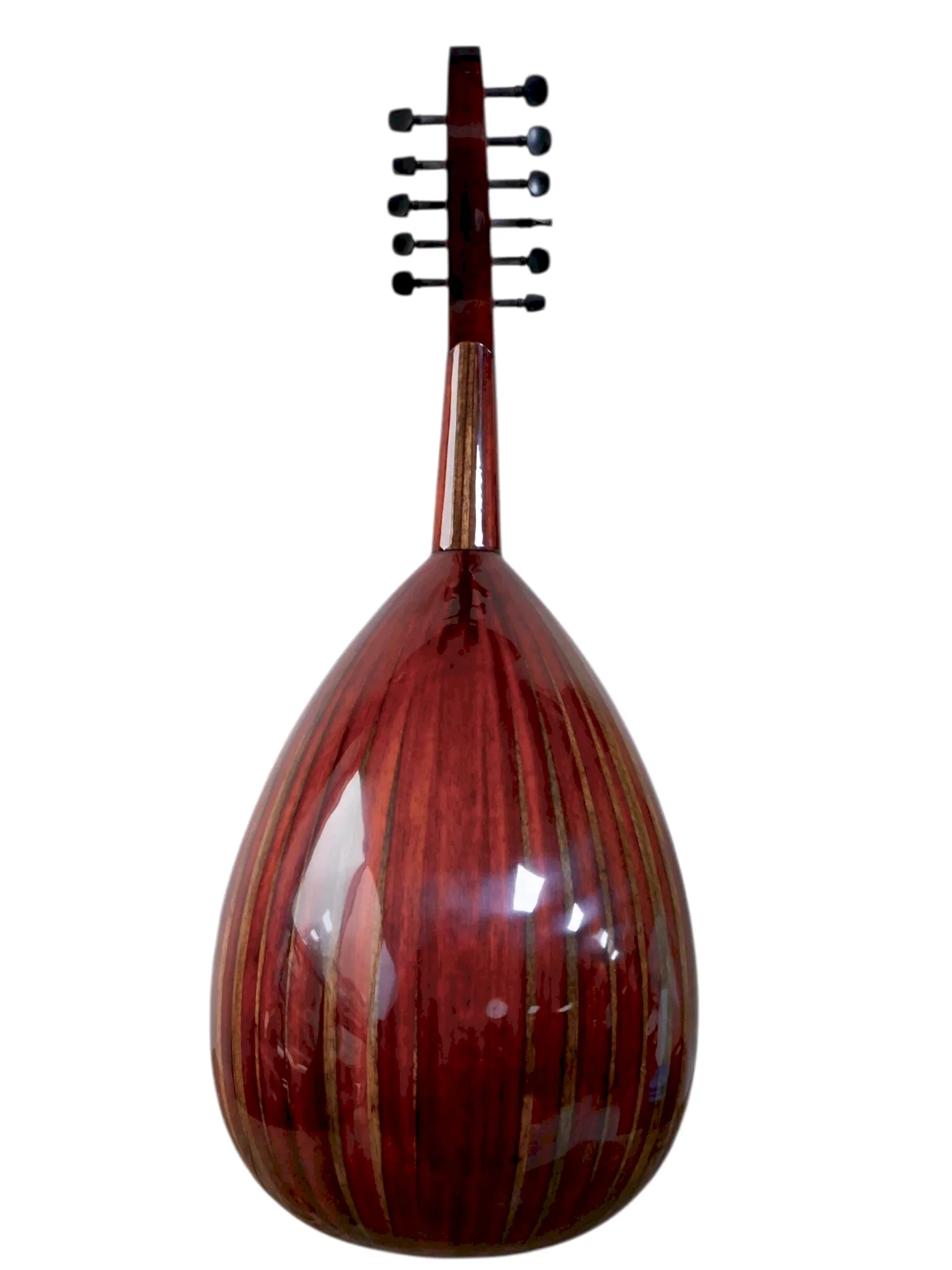 MS-11 Profesyonel Ud