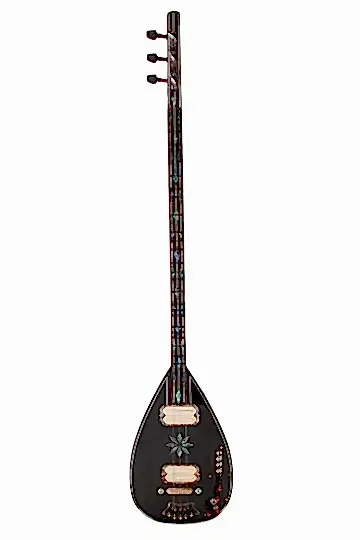 Profesyonel Elektro Bağlama