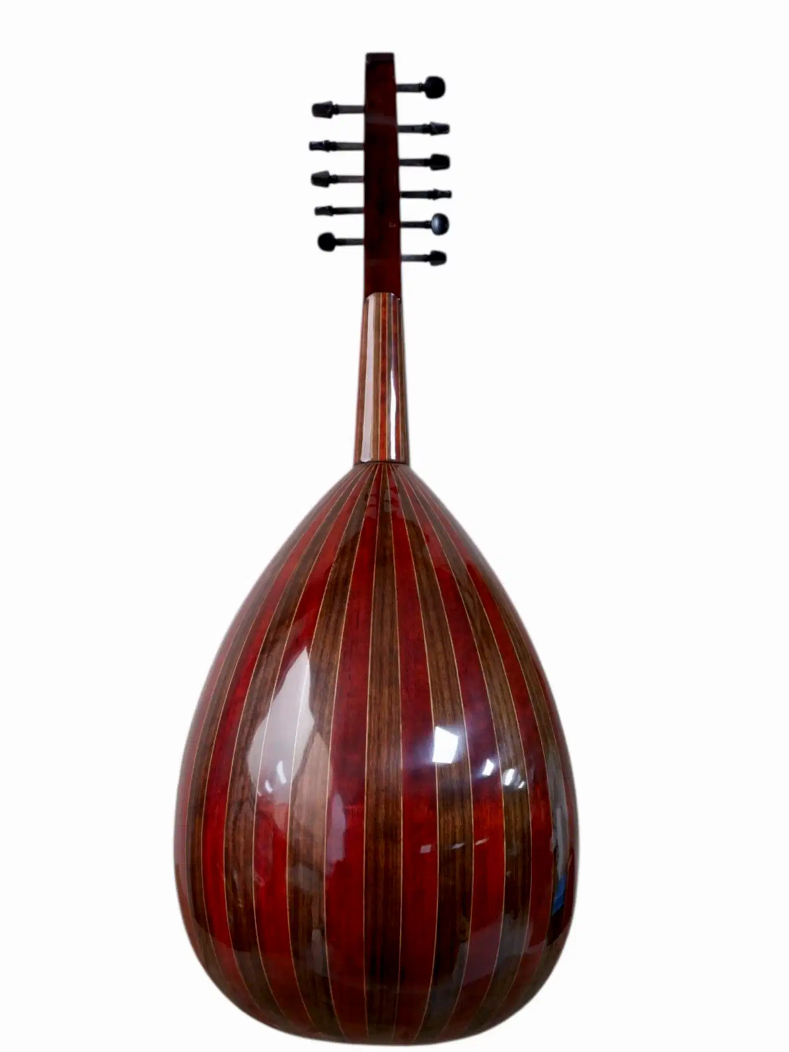 MS-10 Profesyonel Ud