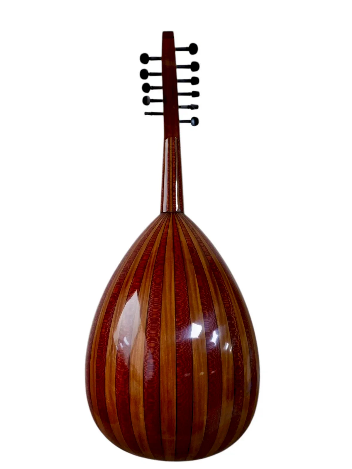 MS-13 Profesyonel Ud