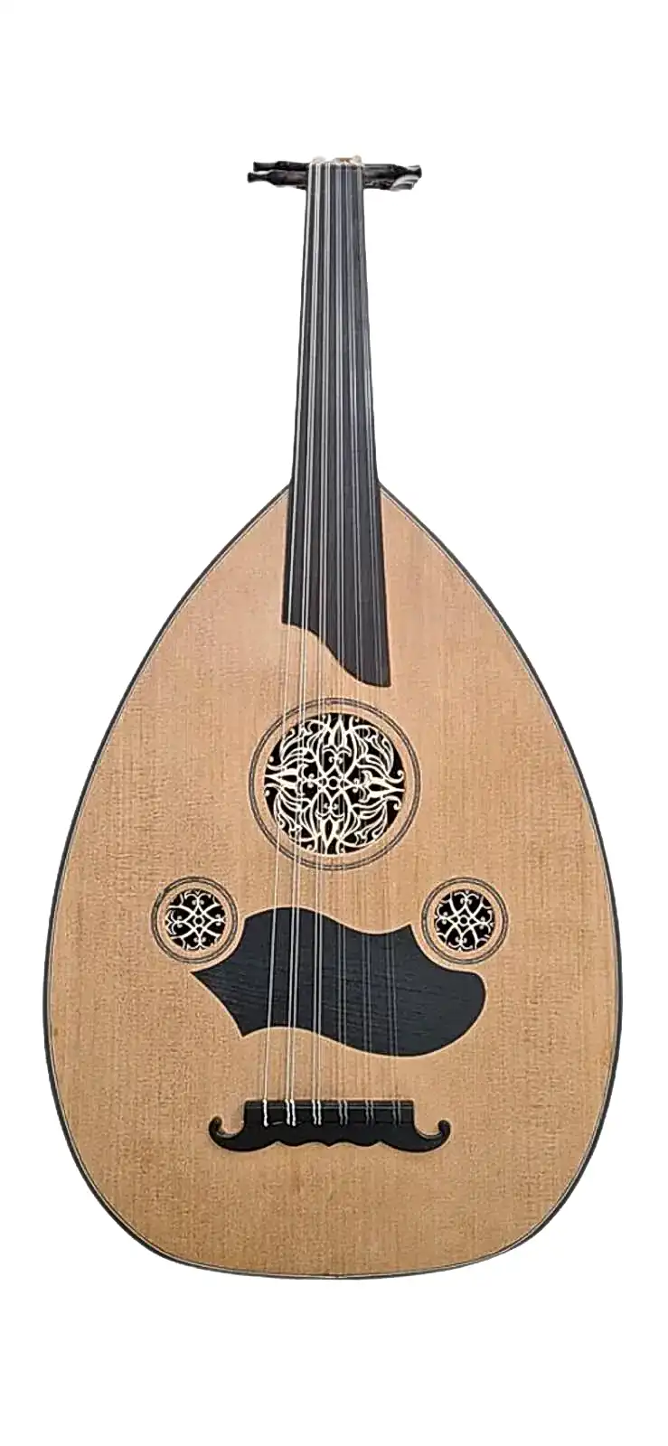 MST100 Maun/Akçaağaç Ud