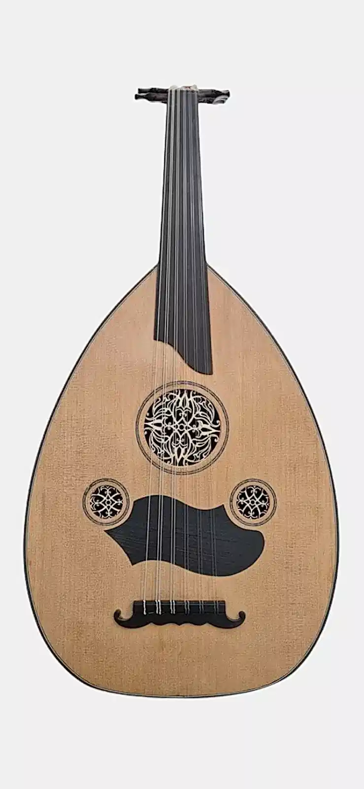 MST500 Akçaağaç Ud