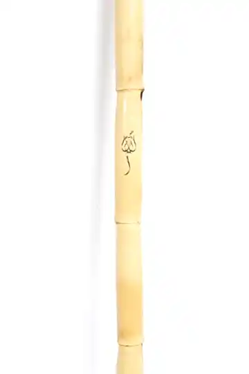 Kaliteli Ney Lale Serisi