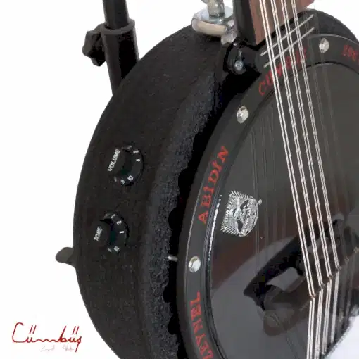 Profesyonel Elektro Cümbüş