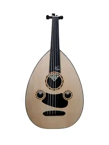 ST Elektro-Akustik UD