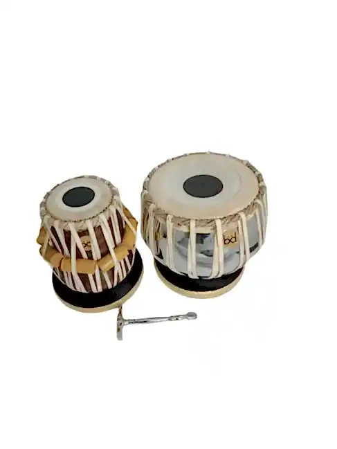 Bandin Profesyonel Tabla