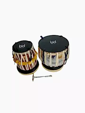 Bandin Profesyonel Tabla
