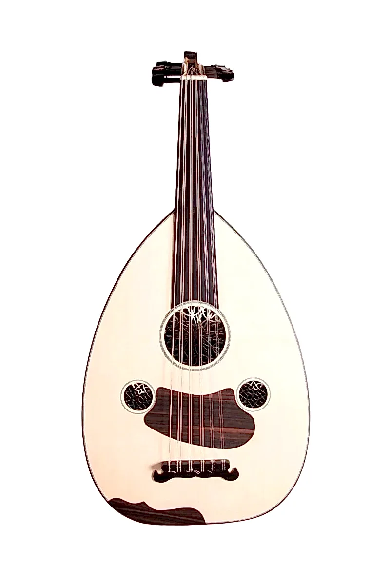 MH200 Profesyonel Ud