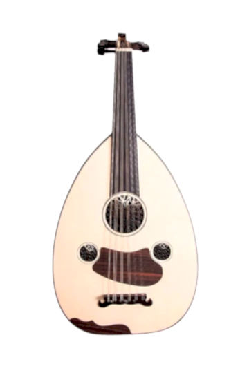 MH200 Profesyonel Ud