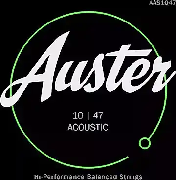 AUSTER AKUSTİK GİTAR TELİ