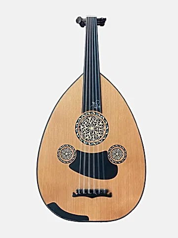 MH871 Profesyonel Ud