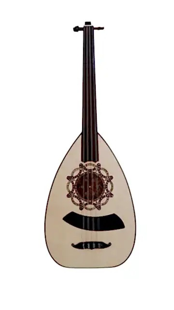 PROFESYONEL TÜRK LAVTA