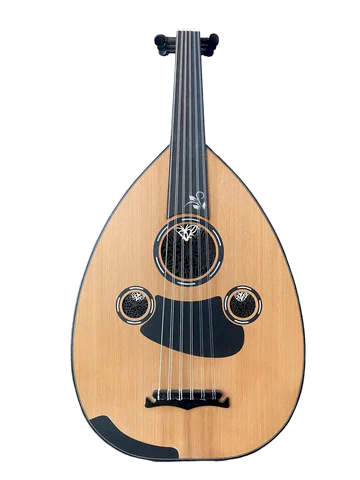 MH850 Profesyonel Ud