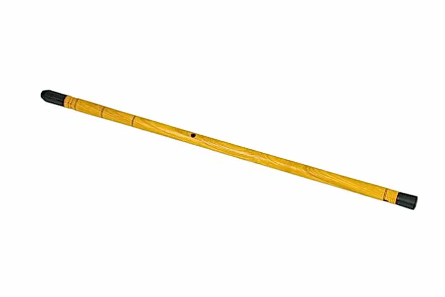 Dut Dilsiz Kaval Sol